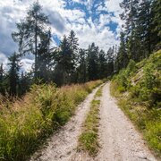 Halserbergrunde Richtung Halseralm