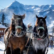 halserweg pferdeschlittenweg_img_43758126