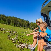 Genussberg Hauser Kaibling