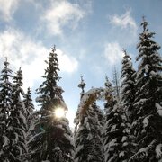 Winterzauber