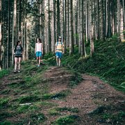 heiligenbrunn-rundwanderweg_img_45906329