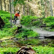 Hochalm Trail