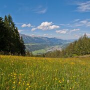 View from trail n° 60 towards Schladming