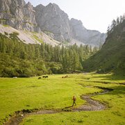 hofpürglhütte - südwandhütte | dachstein rundwanderweg: etappe 02_img_75626271
