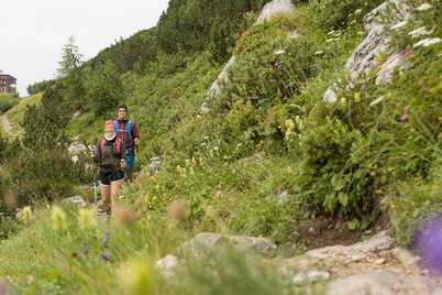 Auf dem Linzer Weg von der Hofpürglhütte