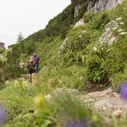 Auf dem Linzer Weg von der Hofpürglhütte