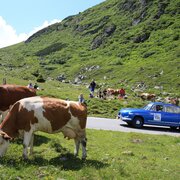 Sölkpass