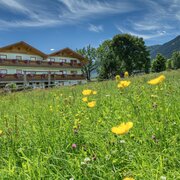 Das Platzl im Sommer