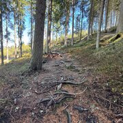 Jack Lumber Trail_(c) Birgit Walcher.jpg