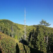 jagasteig - riesneralm_img_63148806