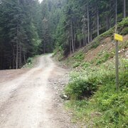 Karbachrundweg - Hochwurzen