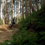 kessler line | 407_img_80373336