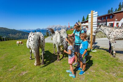 Hauser Kaibling in der Region Schladming-Dachstein