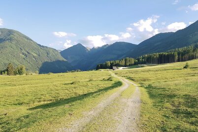 Rohrmooser Frei - an alpine meadow directly in Rohrmoos