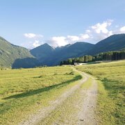 Die Rohrmooser Frei - eine Almwiese direkt in Rohrmoos