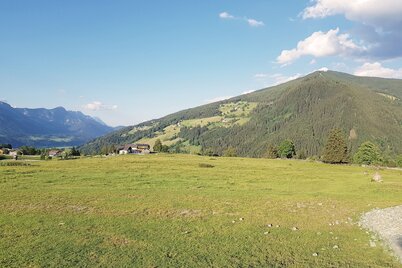 Panorama over Rohrmooser Frei meadow to Planai