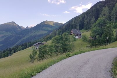 Variant of Short Miners' Trail - on the way to the Schlapfer farm