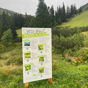 Heilkräuterweg 01.jpg