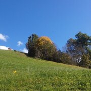 krapflrundweg_img_70215334