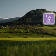 Der Kulm von seiner "sanften" der Stainacher Ansicht