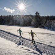 Auf klassischer Spur in den Kulmberger Wald