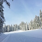 Kulmberg-Waldloipe
