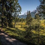 Am Philosophenweg Richtung Ramsau-Ort
