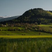 Der Kulm von seiner "sanften" der Stainacher Ansicht