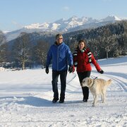 Winterwandern in Ramsau am Dachstein
