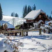leitenrunde pferdeschlittenweg_img_43758124