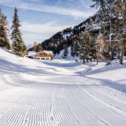 Die Skatingloipe Stoderzinken bei der Stoderhütte
