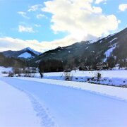 Entlang des Baches auf der Loipe Vorderwald