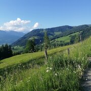 Blick Richtung Hohe Trett