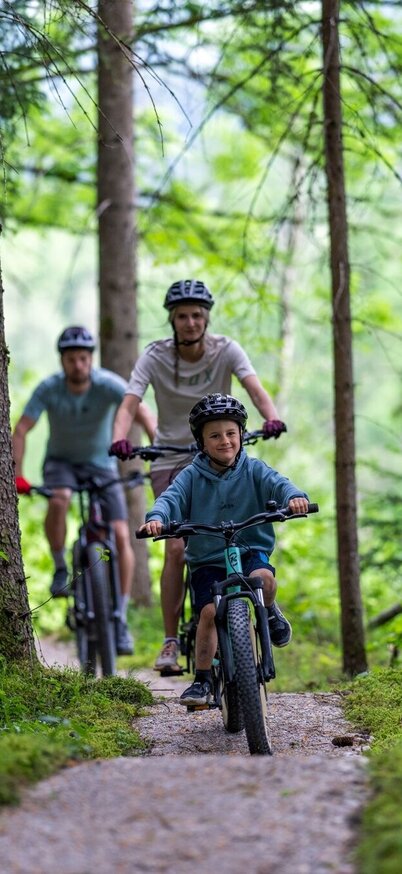 re-cycle track | 801_img_81215035