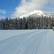 Die Loipen am Mitterberg beim Fußballplatz - Skating und Klassisch