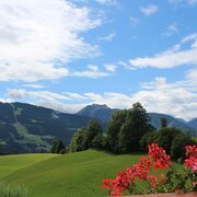 ausblick