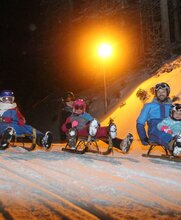 nachtrodelbahn am rittisberg_img_43859346