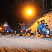 nachtrodelbahn am rittisberg_img_43859346
