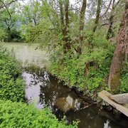 Nahe dem Wasserplatz an der Enns
