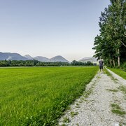 Enns-Wörschacher Moosweg 031 © Christoph Lukas (2021-07).jpg