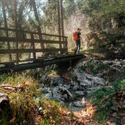Wanderer auf Holzbrücke