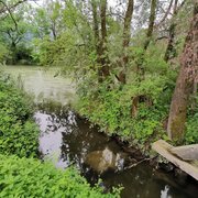 Nahe dem Wasserplatz an der Enns