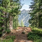 Aussichtsplatzerl auf dem Weg von der Neualm ins Duisitzkar