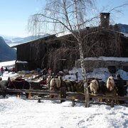 Oberhorner Pferdeschlittenfahrten