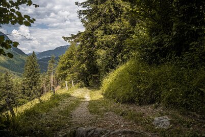 Der Marterlweg - ein schön gepflegter Wanderweg