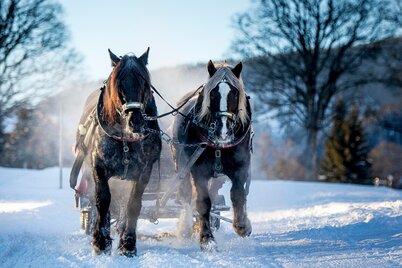 panoramarunde ost und west pferdeschlitten_img_43758153