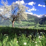 Panoramaweg 100 Sonnseite
