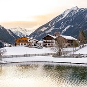 Braunhofer im Winter