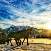 Pferdeschlittenfahrt Ramsau am Dachstein