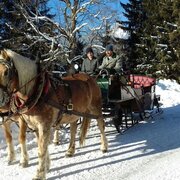 Pferdeschlitten- und Kutschenfahrt im Winter